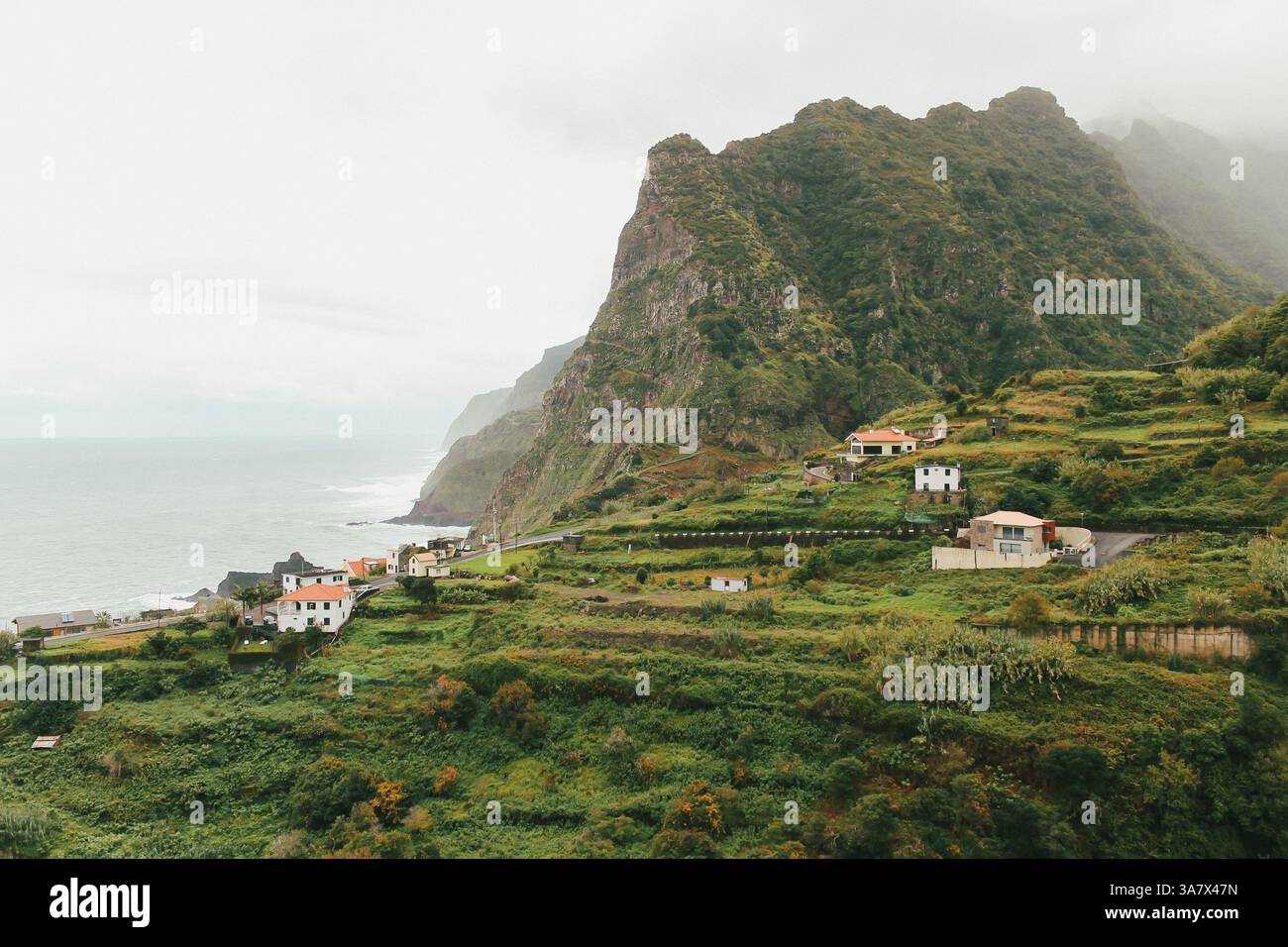 Spettacolari scogliere lussureggianti di Madeira, Portogallo. Paesino costiero panoramico vicino a Ponta Delgada - colline verdi terrazzate che si affacciano sull'Oceano Atlantico. Foto Stock