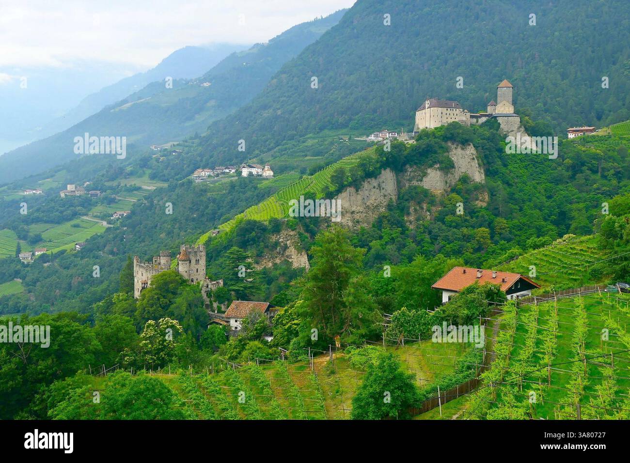 Paesaggio romantico con antichi castelli su una morena glaciale e verdi vigneti in alto Adige, Italia Foto Stock Paesaggio romantico con antichi castelli su una morena glaciale e verdi vigneti in alto Adige, Italia Foto Stock