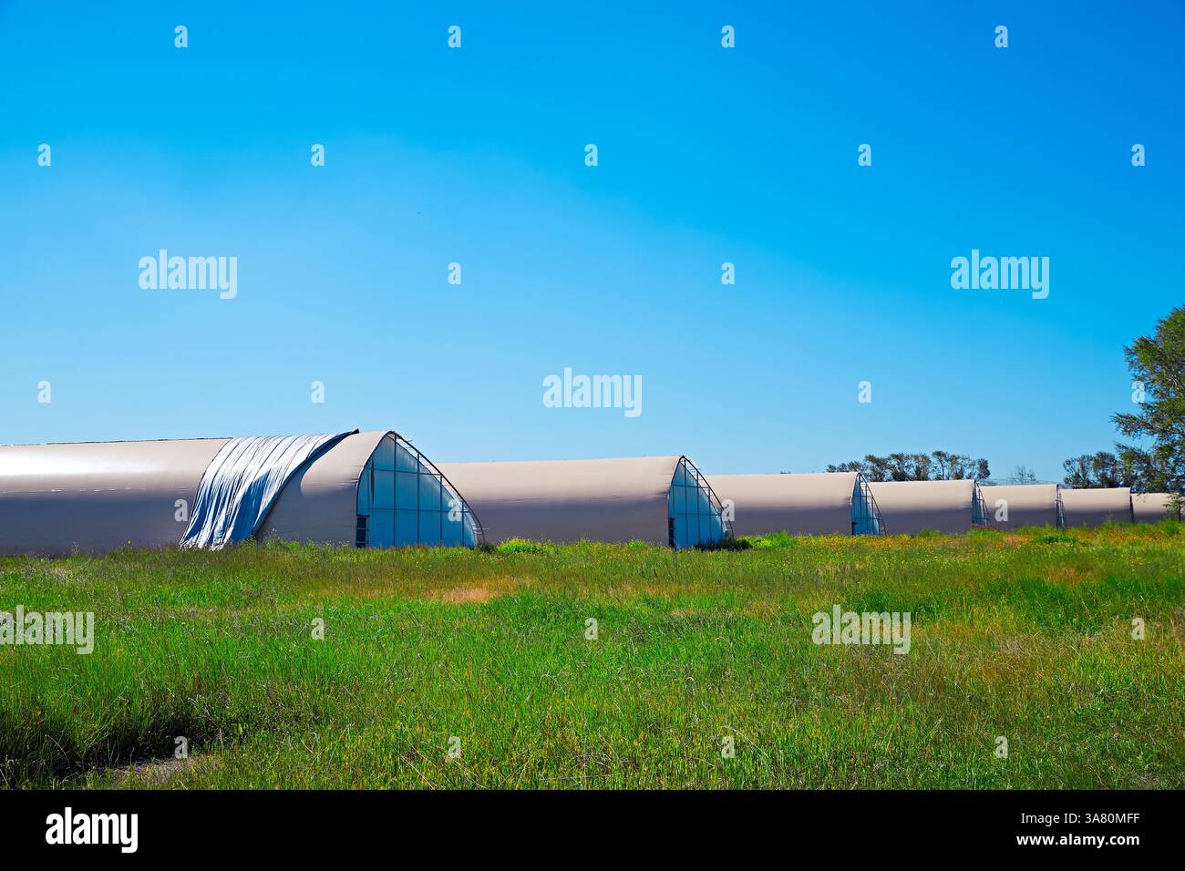 Paesaggio rurale con fiume e serra Foto Stock