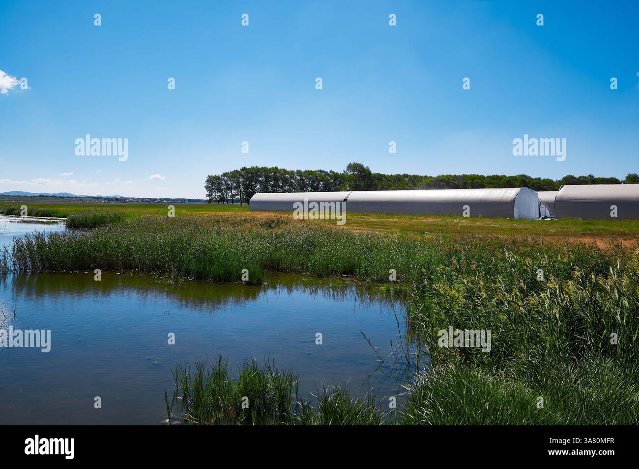 Paesaggio rurale con fiume e serra Foto Stock
