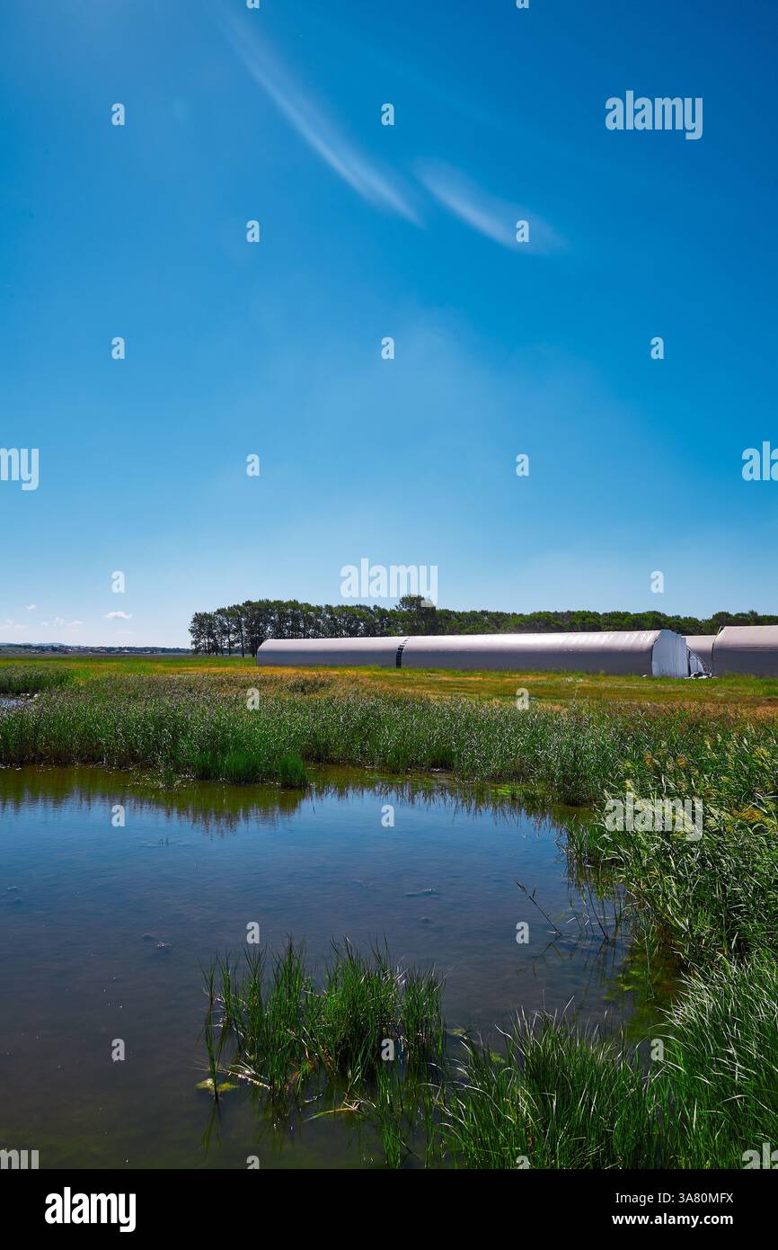 Paesaggio rurale con fiume e serra Foto Stock