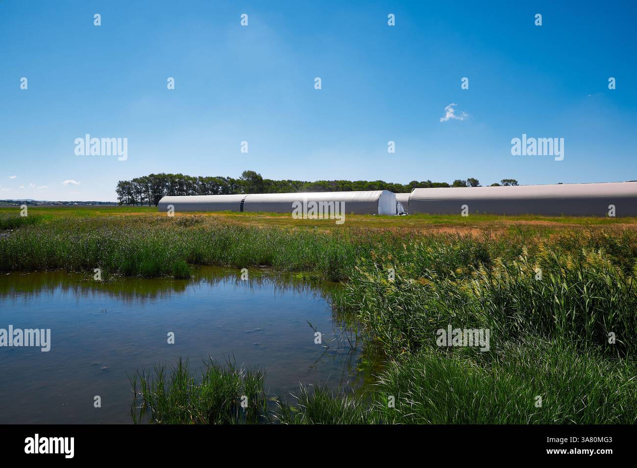 Paesaggio rurale con fiume e serra Foto Stock