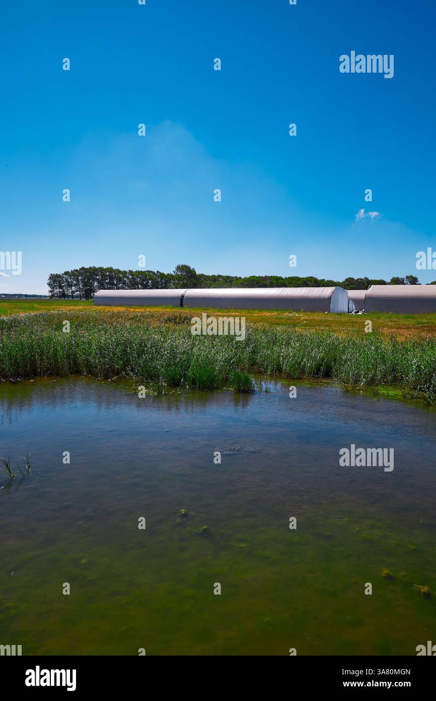 Paesaggio rurale con fiume e serra Foto Stock