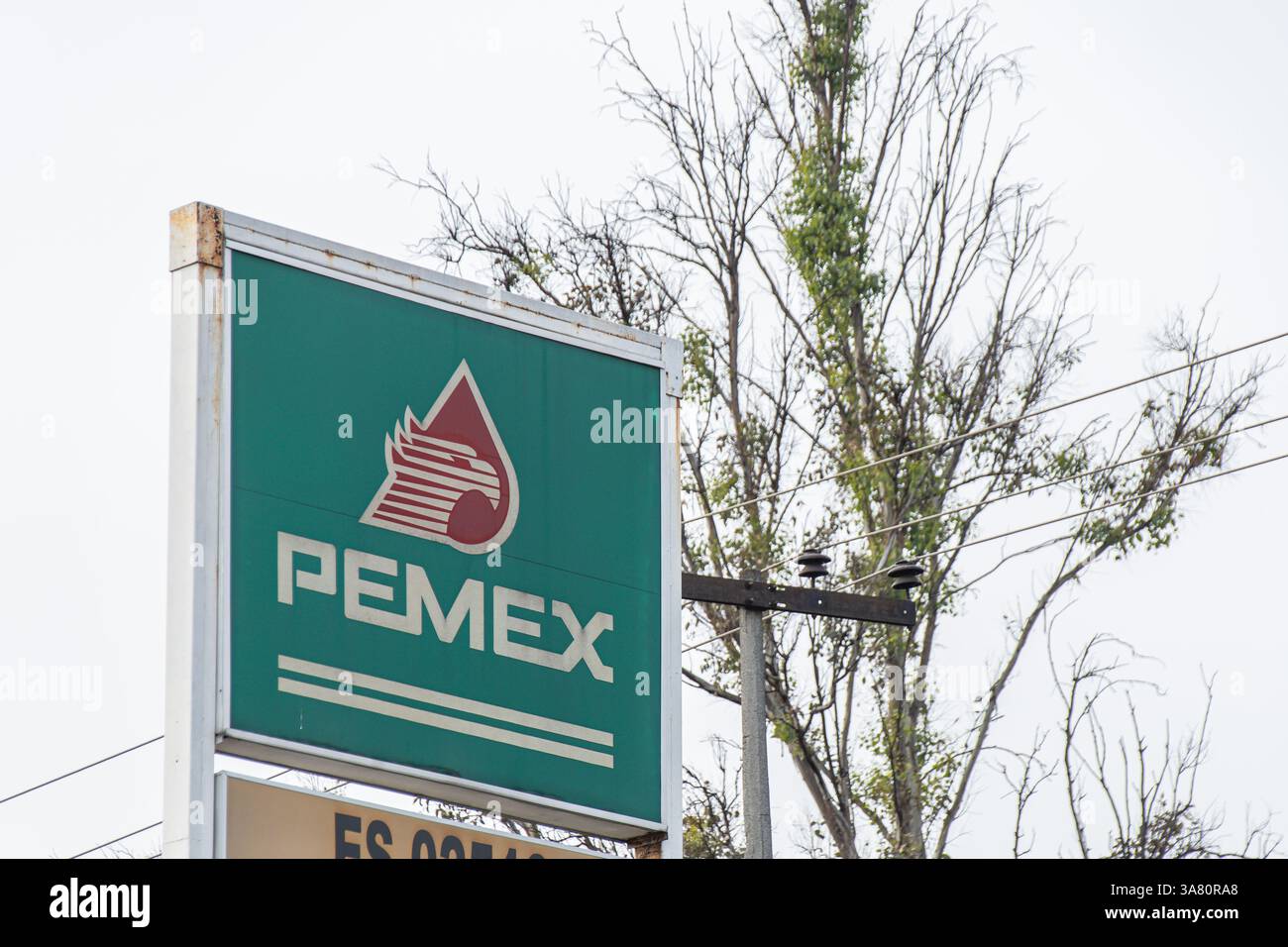Un primo piano di un cartello della stazione di servizio Pemex, la compagnia petrolifera statale del Messico, posto contro un cielo coperto e alberi alti. Foto Stock