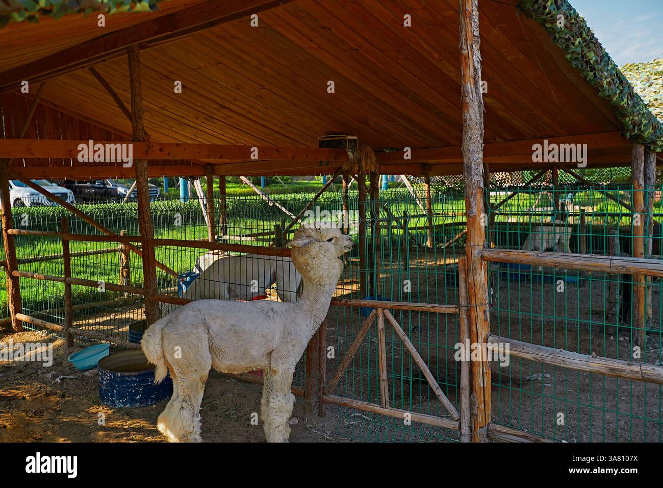 Parco per famiglie con attrezzature da gioco e vegetazione Foto Stock