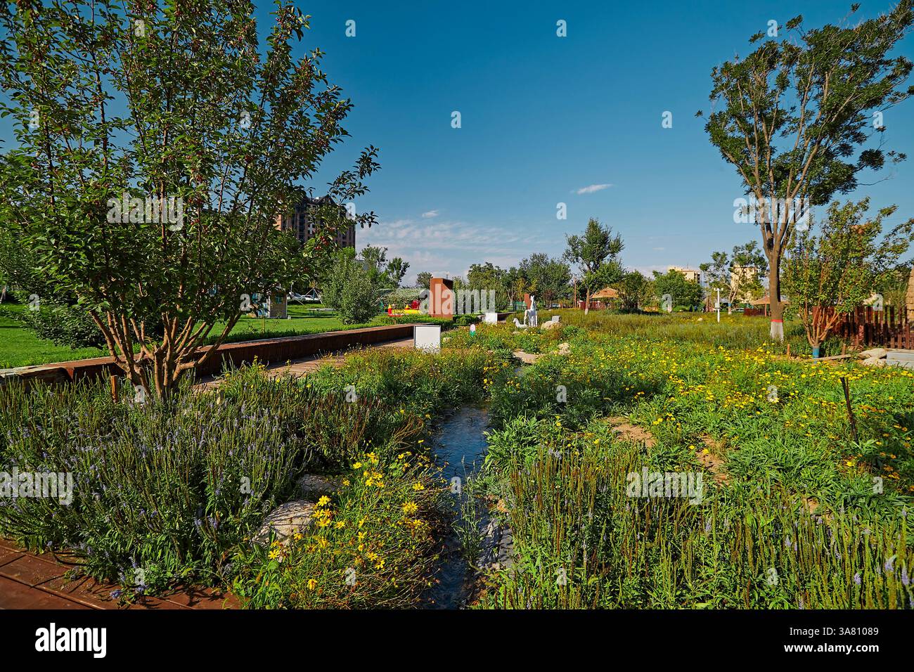 Parco per famiglie con attrezzature da gioco e vegetazione Foto Stock
