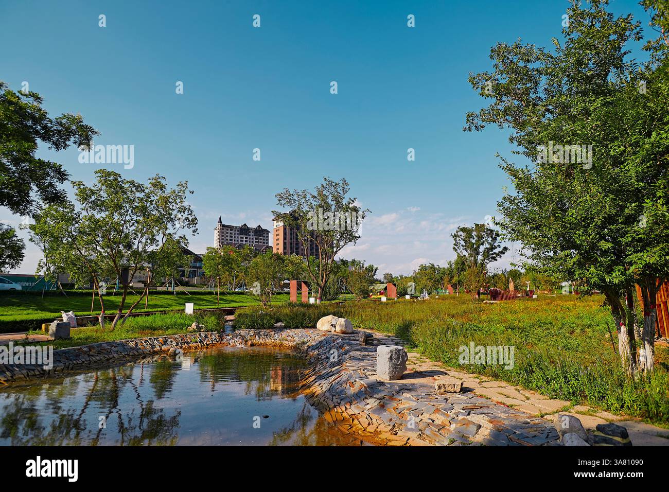 Parco per famiglie con attrezzature da gioco e vegetazione Foto Stock