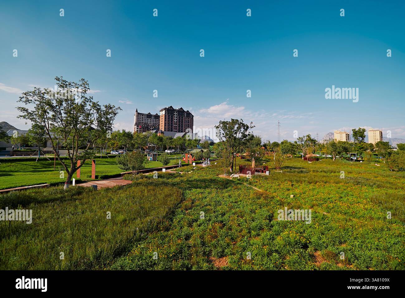 Parco per famiglie con attrezzature da gioco e vegetazione Foto Stock