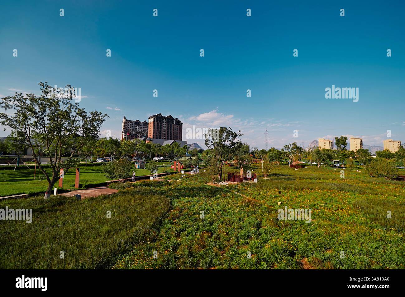Parco per famiglie con attrezzature da gioco e vegetazione Foto Stock