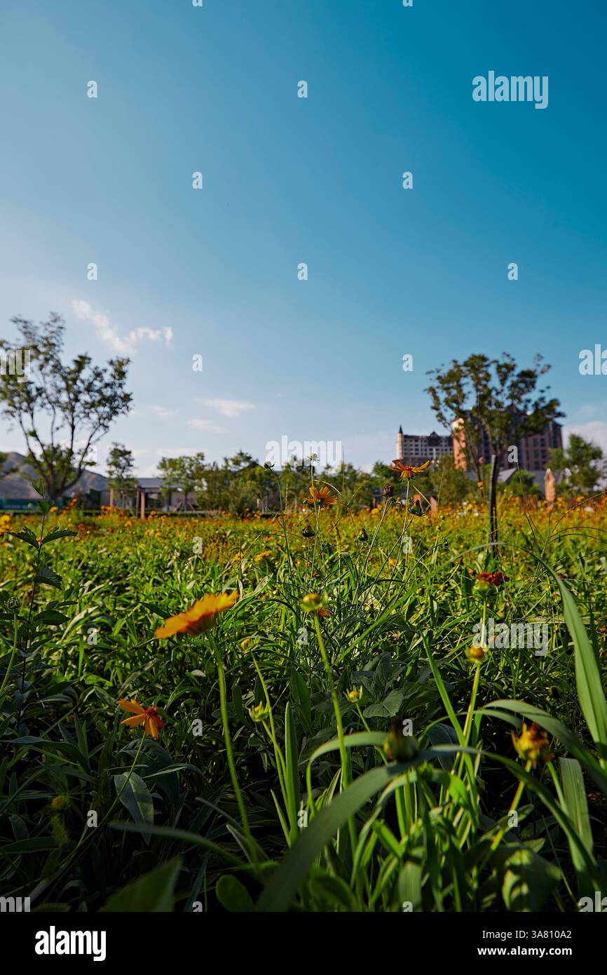 Parco per famiglie con attrezzature da gioco e vegetazione Foto Stock
