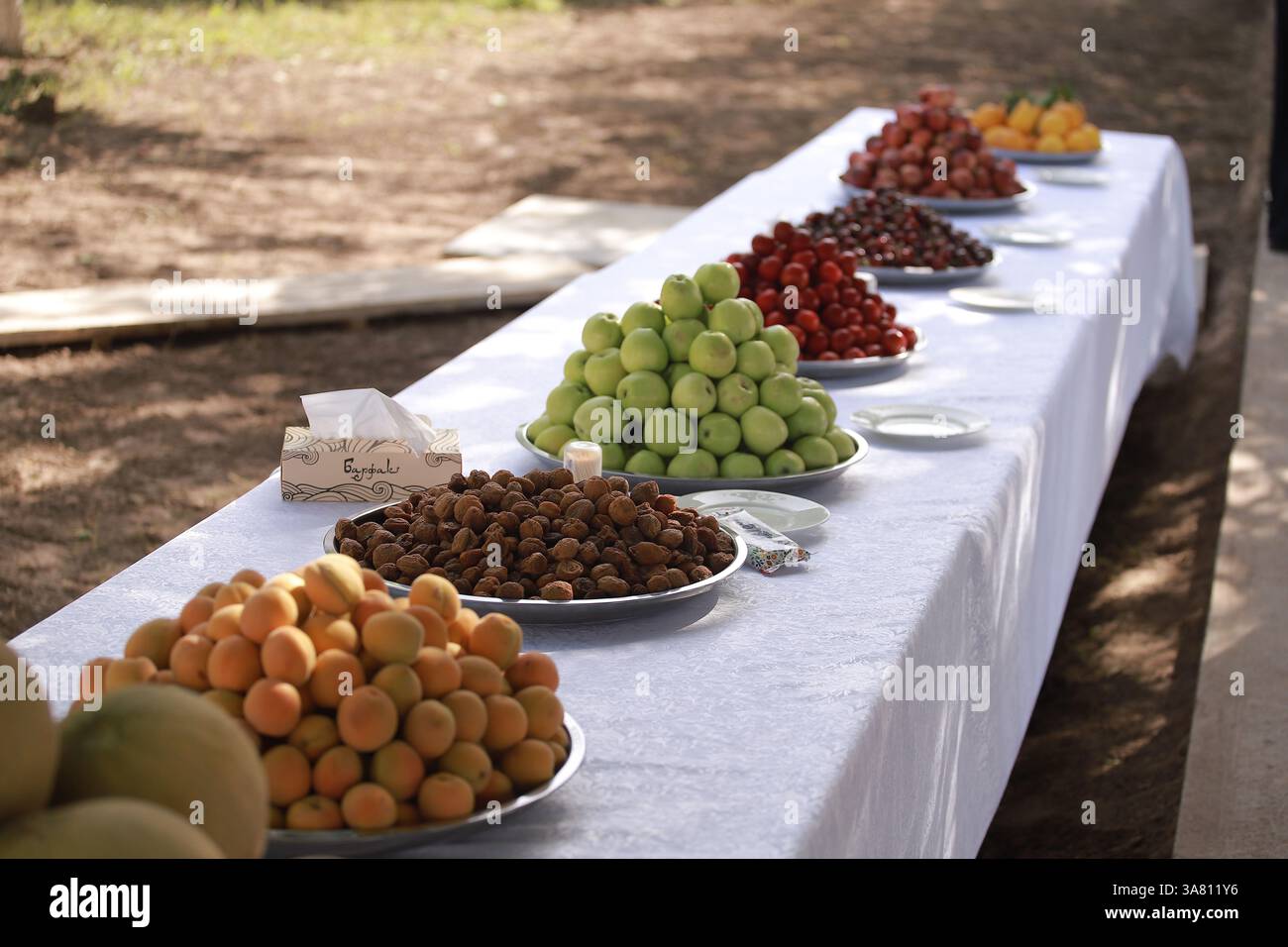 Fiera della frutta di primavera a Bokhtar, Tagikistan Foto Stock