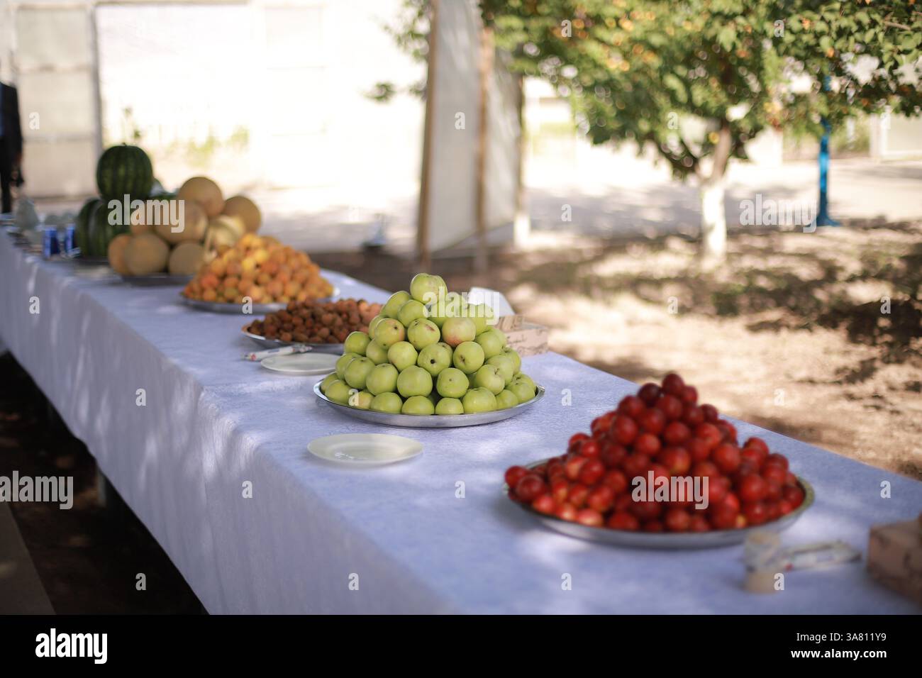 Fiera della frutta di primavera a Bokhtar, Tagikistan Foto Stock