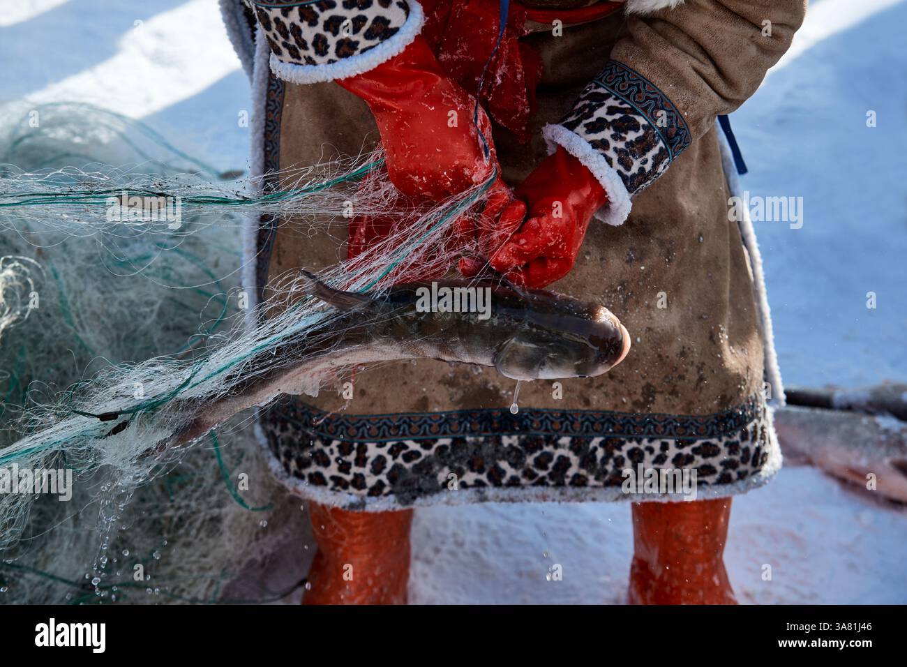 Scena invernale di pesca sul ghiaccio con pesce in rete Foto Stock