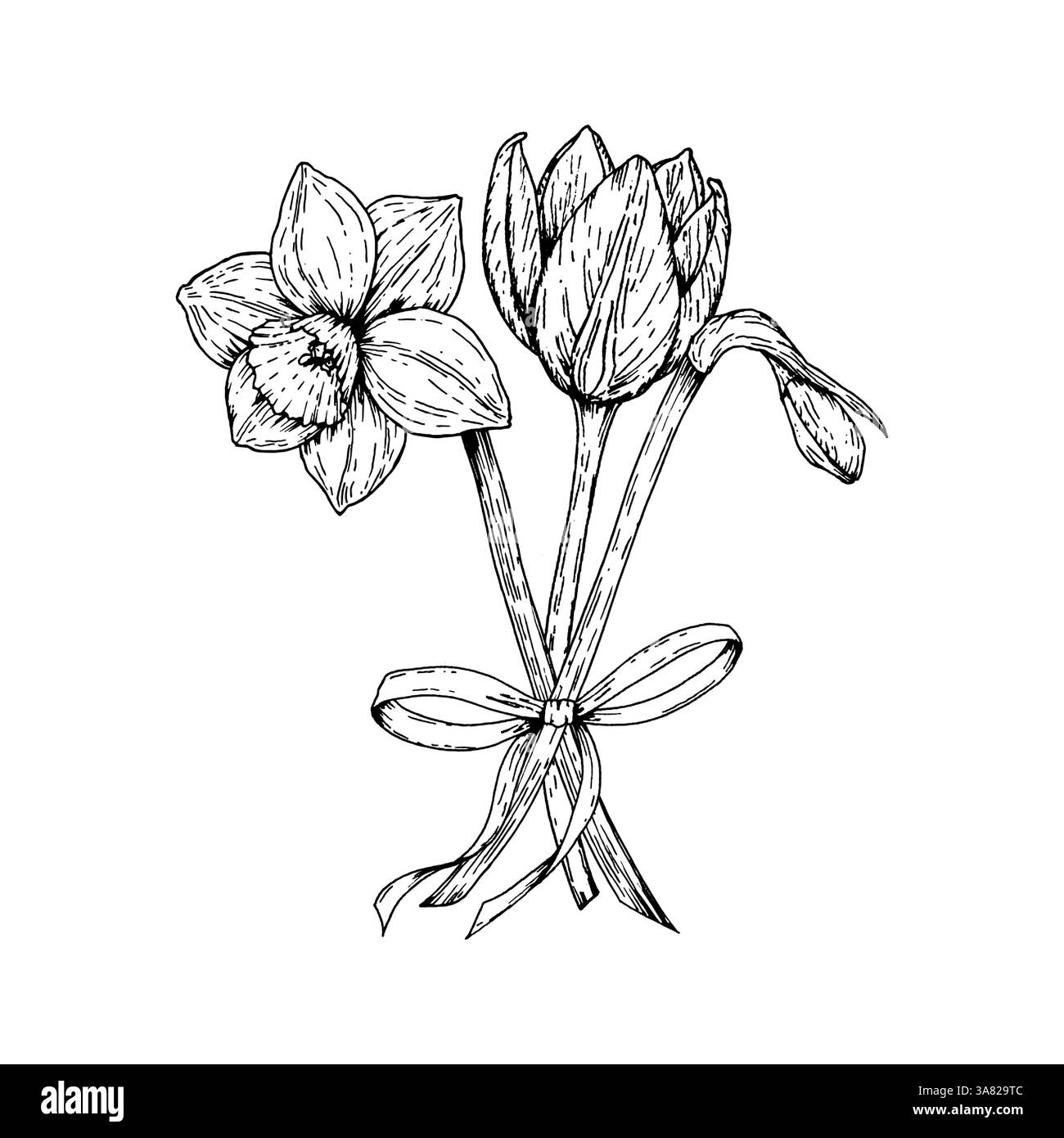 Illustrazione vettoriale di un piccolo bouquet primaverile con narcisi e tulipani legati con un nastro. Disegnato a mano con inchiostro bianco e nero. Ideale per Illustrazione Vettoriale