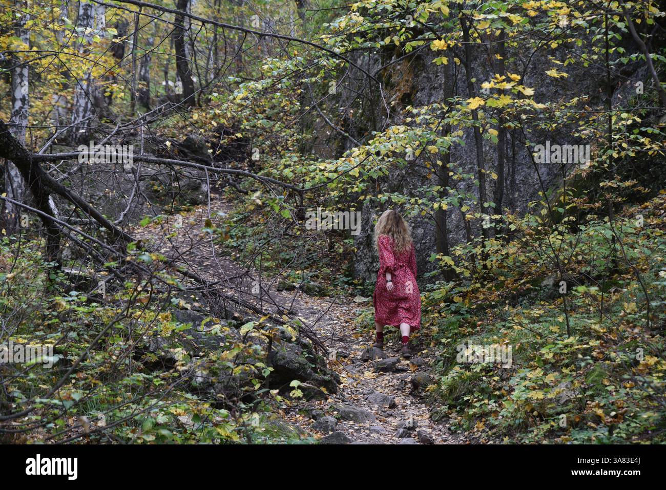 Donna con un vestito rosso che cammina su una foresta Foto Stock
