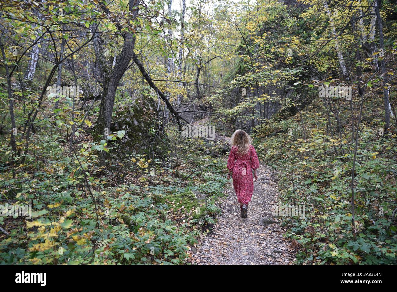 Donna che cammina su un sentiero nella foresta circondato da fogliame autunnale Foto Stock