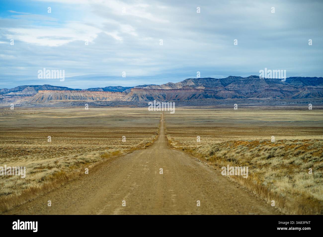 Remote Desert Road che porta alle Utah Badlands sotto Overcast Sky - Foto Stock