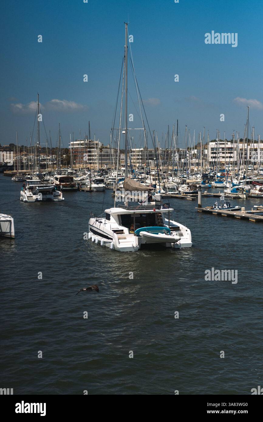 Marina di Lagos, navi e barche e catamarani turistici Foto Stock