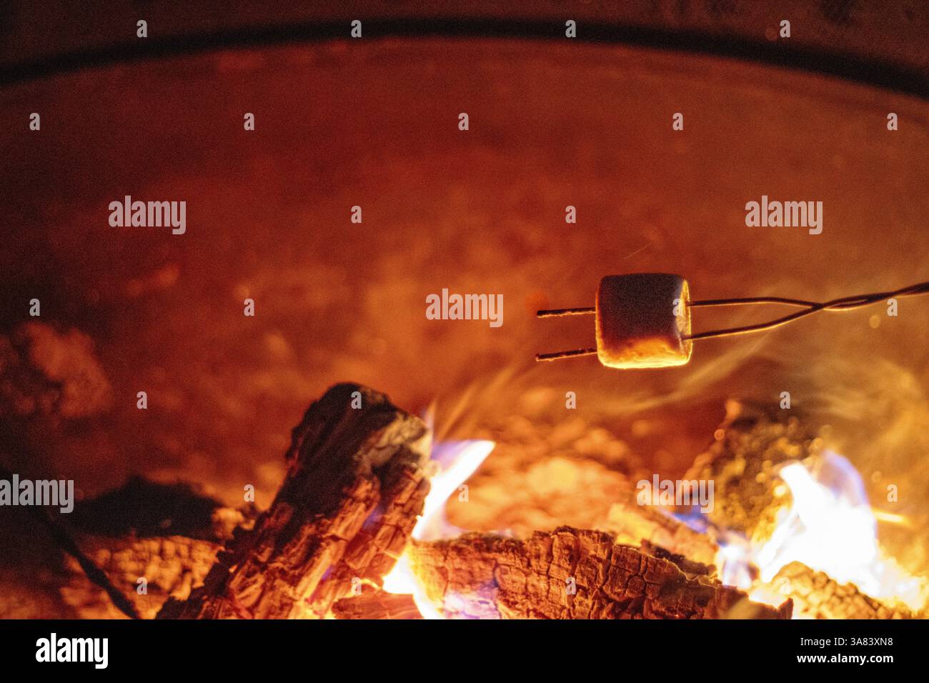 Marshmallow arrostito sopra un fuoco da campeggio con brace e fiamme accese. Foto Stock
