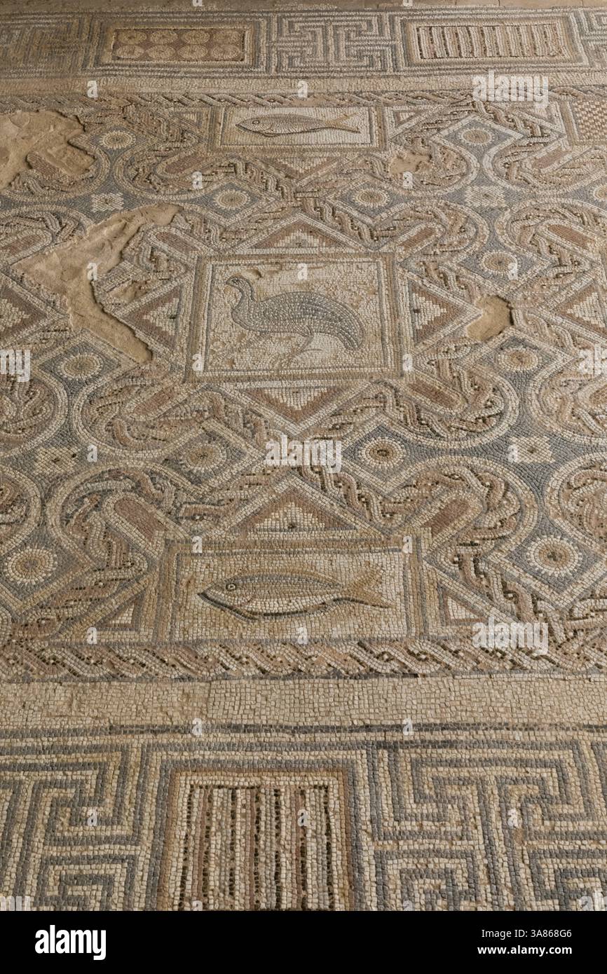 Cipro, Episkopi, Kourion, il sito archeologico di Kourion, la casa di Eustolio, mosaici di pavimento Foto Stock
