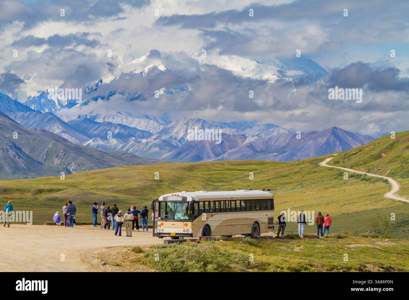 In autobus lungo la strada lunga 92 km che conduce al Denali National Park, Alaska, Stati Uniti d'America Foto Stock