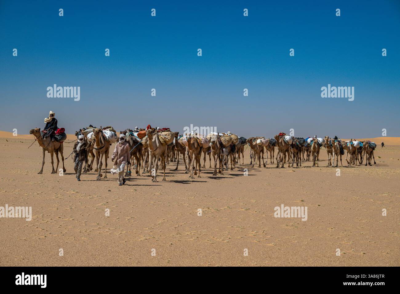 Carovana di cammelli nei monti Tibesti, Ciad Foto Stock