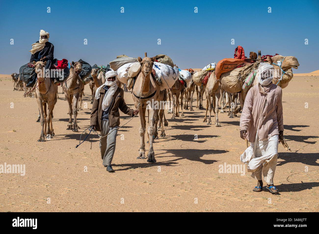 Carovana di cammelli nei monti Tibesti, Ciad Foto Stock