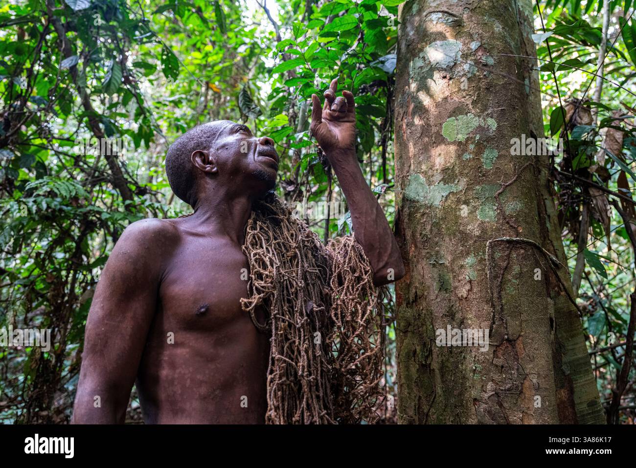 L'uomo pigmeo che va a caccia di rete, Parco Nazionale di Dzanga Sangha, UNESCO, Repubblica Centrafricana Foto Stock