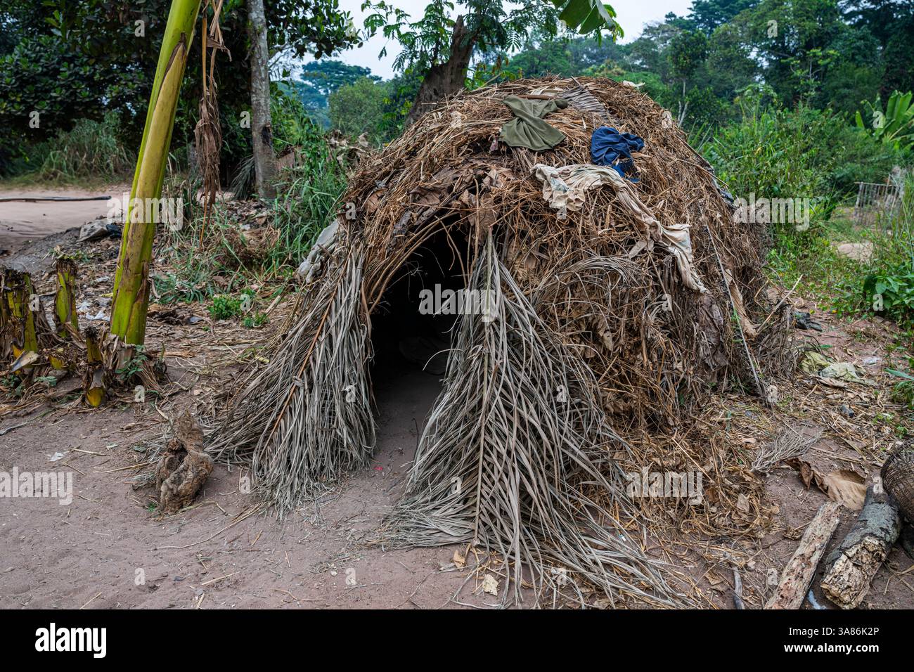 Dimora pigmea, Parco Nazionale Dzanga Sangha, UNESCO, Repubblica Centrafricana Foto Stock