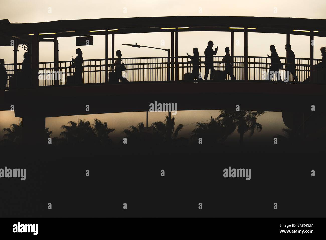 Silhouette di viaggiatori con valigie su un ponte sulle palme, Hong Kong, Cina Foto Stock