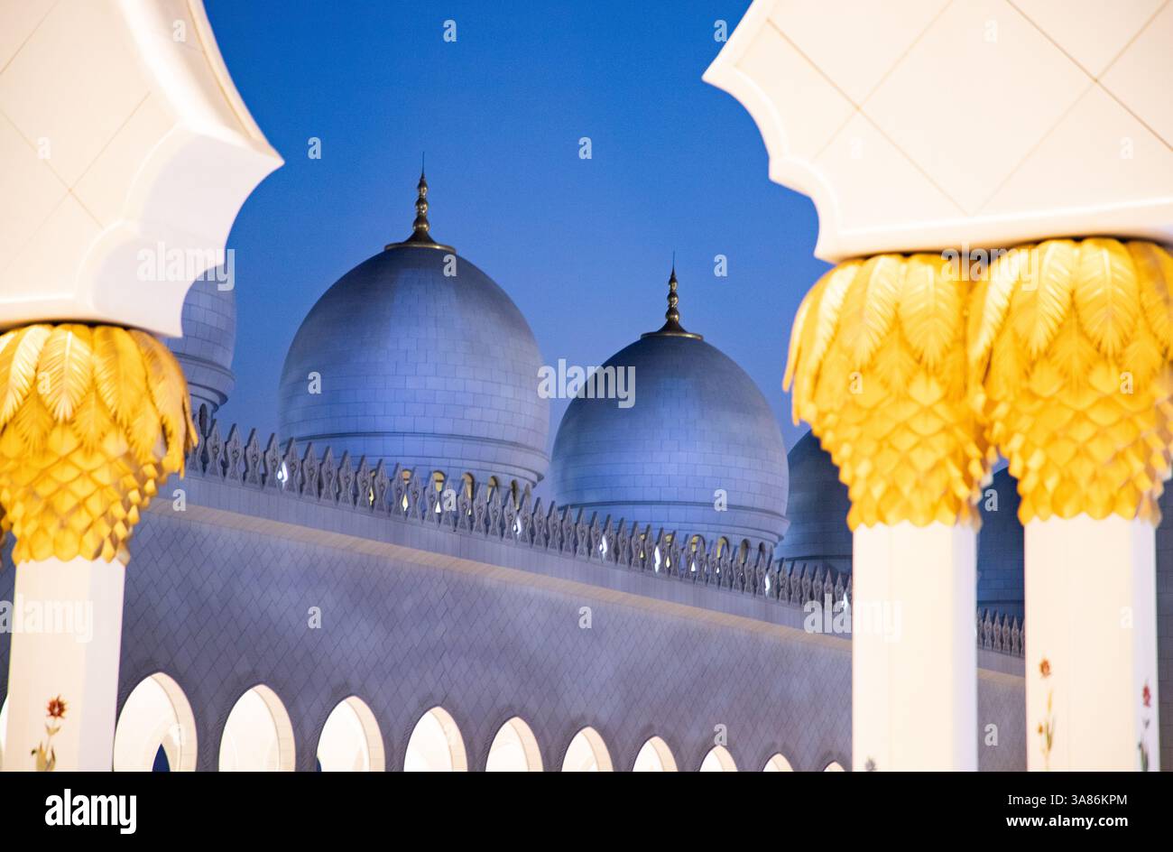 Particolare della Grande Moschea dello Sceicco Zayed ad Abu Dhabi, Emirati Arabi Uniti Foto Stock