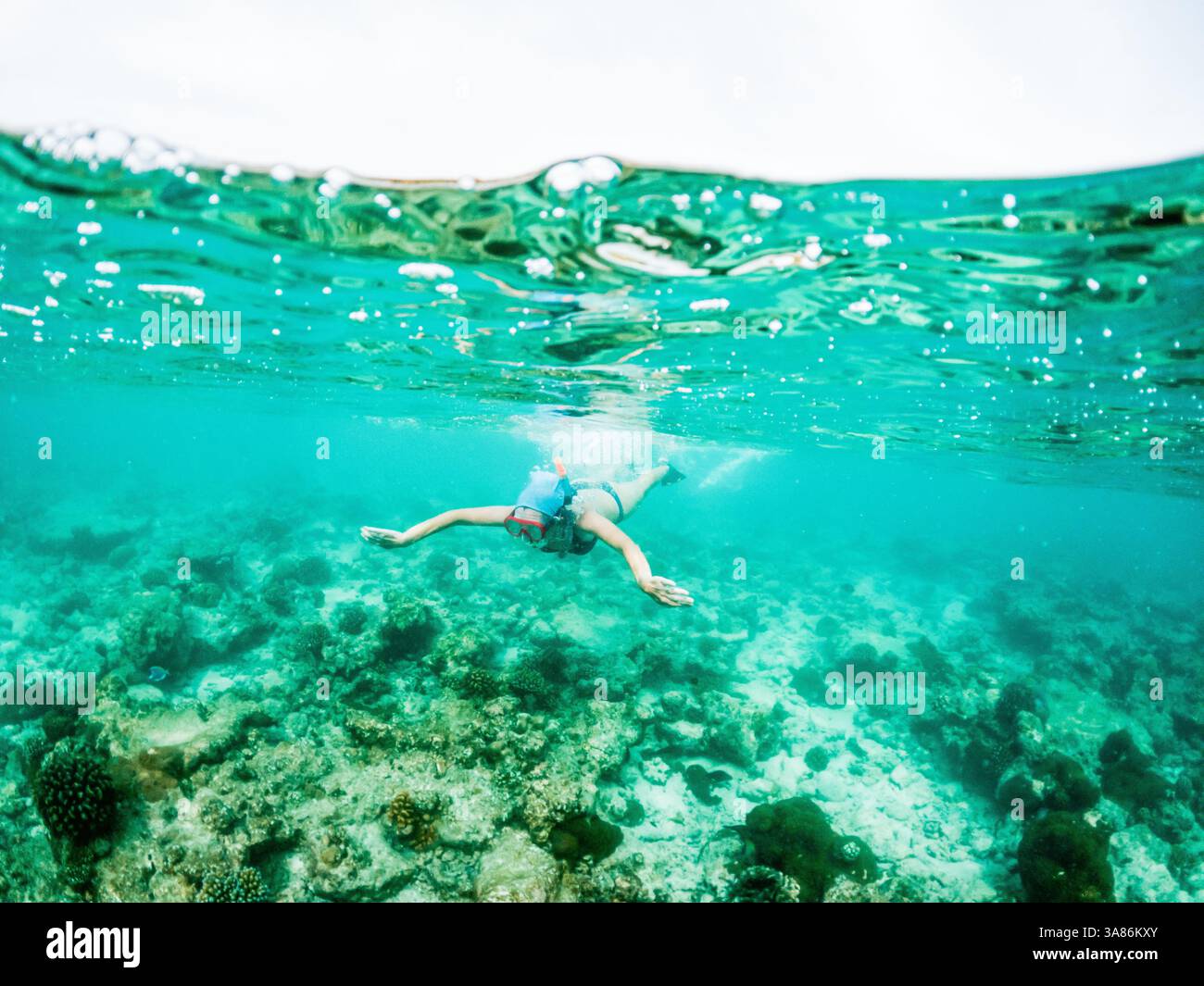 Donna che fa snorkeling nel mare tropicale cristallino, nelle Maldive, nell'Oceano Indiano Foto Stock