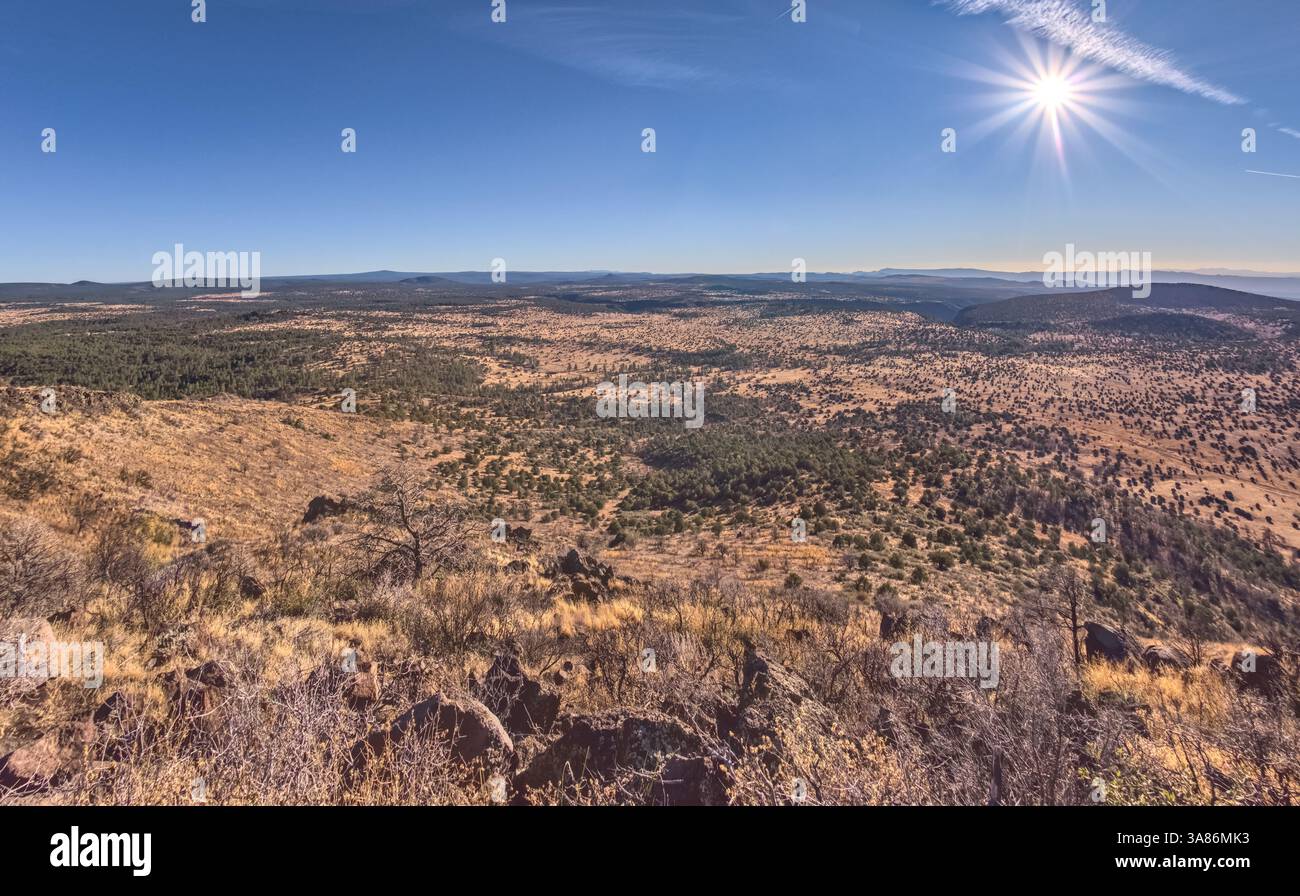 Coconino National Forest dalla sommità sud-occidentale dell'Apache Maid Mountain, Coconino National Forest, Arizona, Stati Uniti d'America Foto Stock