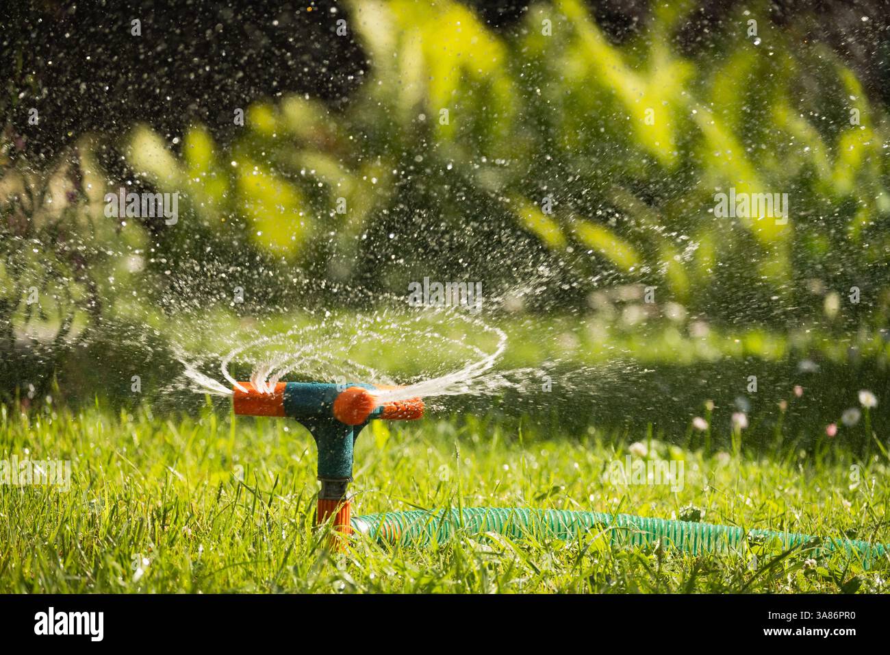 Irrigatore da giardino nelle giornate di sole durante l'innaffiatura del prato verde in giardino. Sistema di irrigazione intelligente automatico. Stagione estiva. Primo piano. Foto Stock