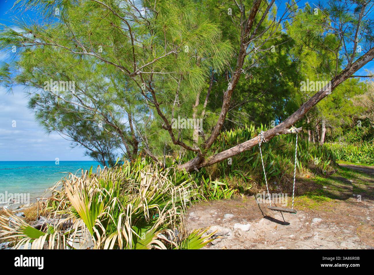 Dondola a Glass Beach nella Sandys Parish, Bermuda Foto Stock