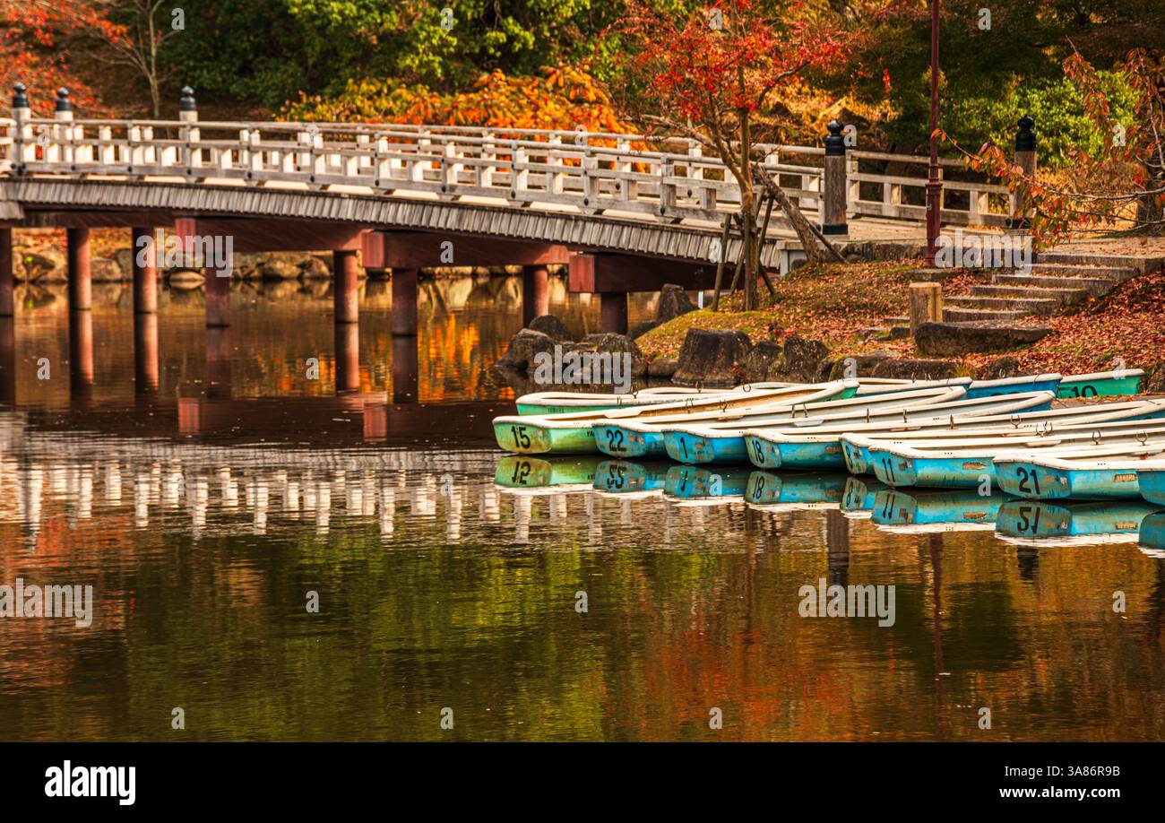 Ponte in legno che attraversa lo stagno di Sagiike, con barche e vivaci foglie autunnali, Nara, Honshu, Giappone Foto Stock