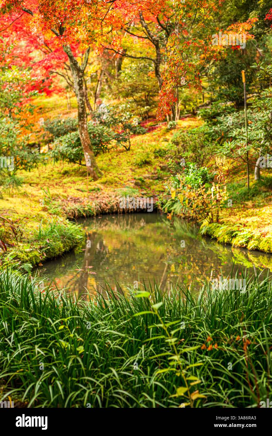 Piccolo laghetto circondato da vibranti colori autunnali e lussureggiante vegetazione al tempio Tenryu-ji, UNESCO, Kyoto, Honshu, Giappone Foto Stock
