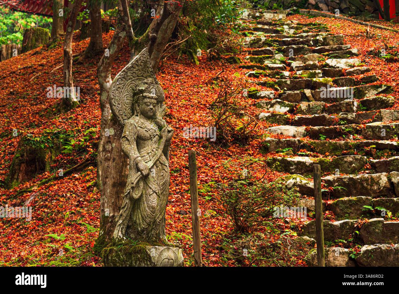 Statua in pietra, foglie autunnali su scala, monte Hiei (Hiei San) sacro, torre Konpon-nyoho, tempio Hieizan Enryaku-ji, Yokawa, Honshu, Giappone Foto Stock
