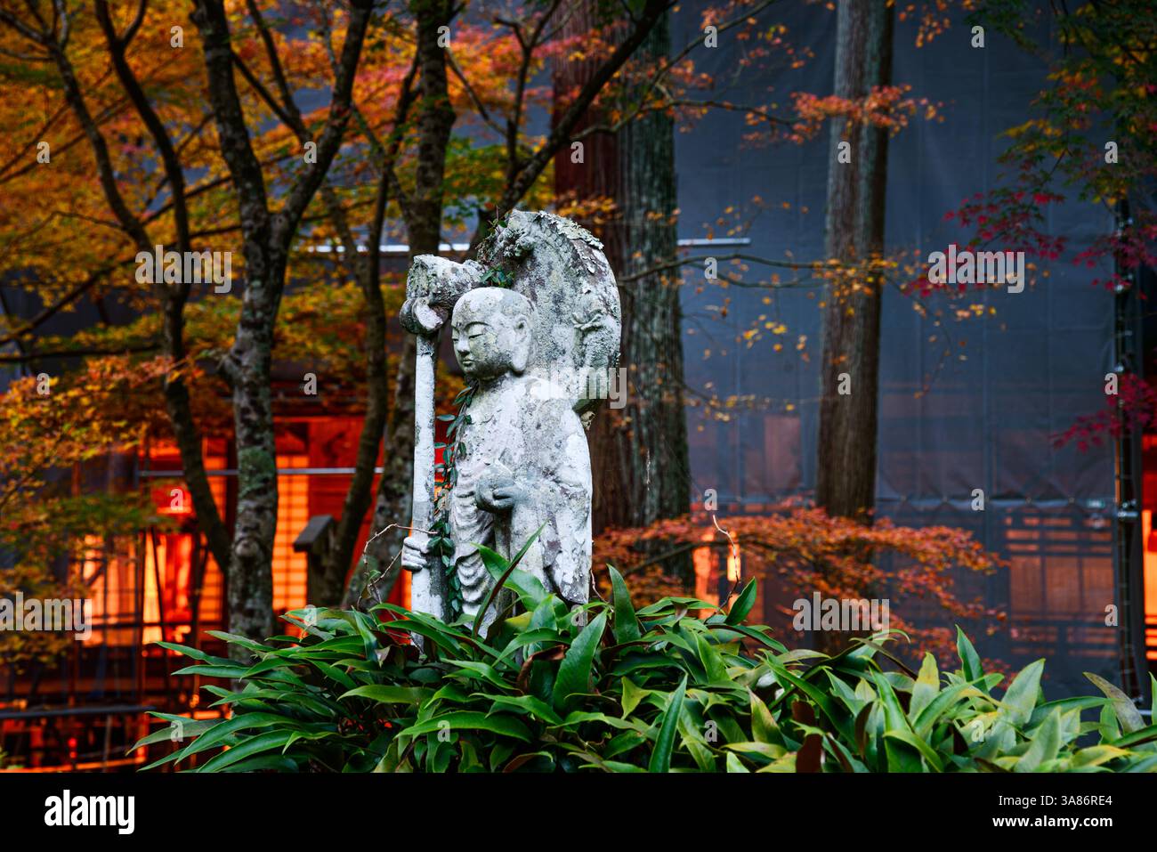 Statua di Jizo adornata di viti, tra vegetazione vibrante e alberi autunnali nei tranquilli terreni del Tempio di Sanzen-in, Kyoto, Honshu, Giappone Foto Stock