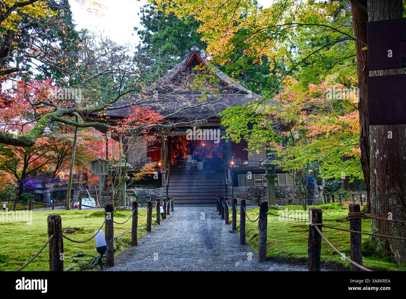 Un tranquillo sentiero che conduce al Tempio di Sanzen-in, circondato da vibranti fogliame autunnale e terreni ricoperti di muschio a Kyoto, Honshu, Giappone Foto Stock