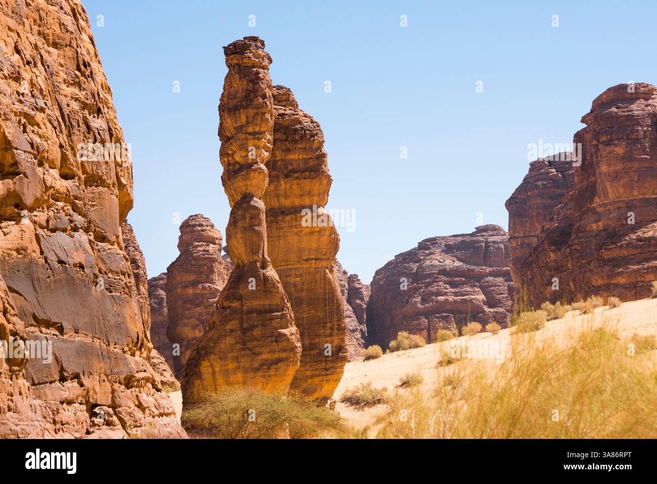 Straordinaria struttura in pietra arenaria chiamata Dancing Rocks nella riserva naturale di Sharaan, Alula, provincia di Medina, Arabia Saudita Foto Stock