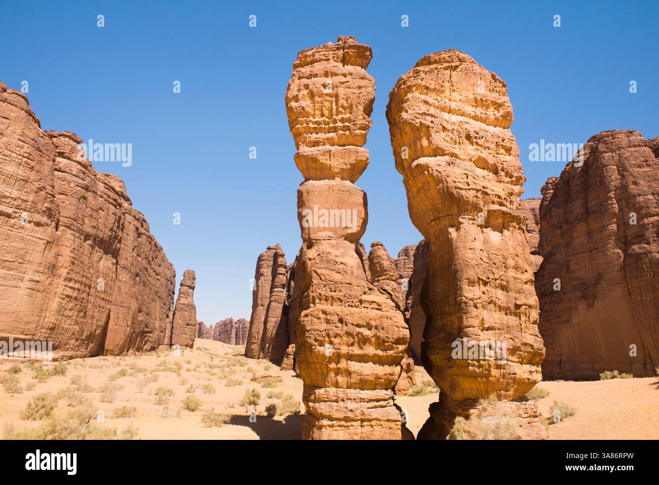 Straordinaria struttura in pietra arenaria chiamata Dancing Rocks nella riserva naturale di Sharaan, Alula, provincia di Medina, Arabia Saudita Foto Stock