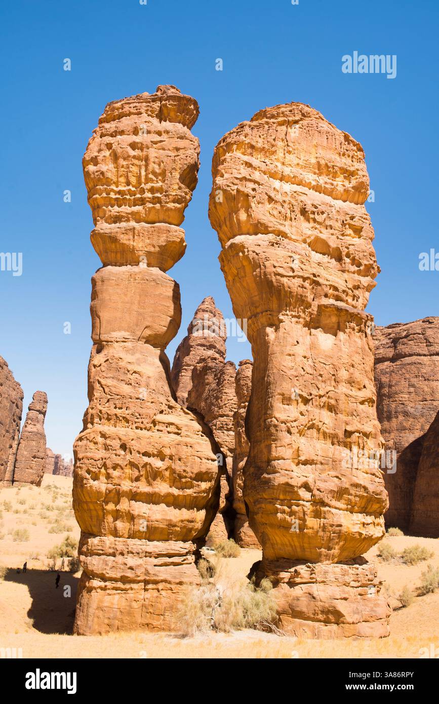 Straordinaria struttura in pietra arenaria chiamata Dancing Rocks nella riserva naturale di Sharaan, Alula, provincia di Medina, Arabia Saudita Foto Stock