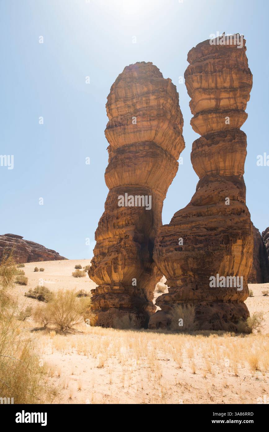 Straordinaria struttura in pietra arenaria chiamata Dancing Rocks nella riserva naturale di Sharaan, Alula, provincia di Medina, Arabia Saudita Foto Stock