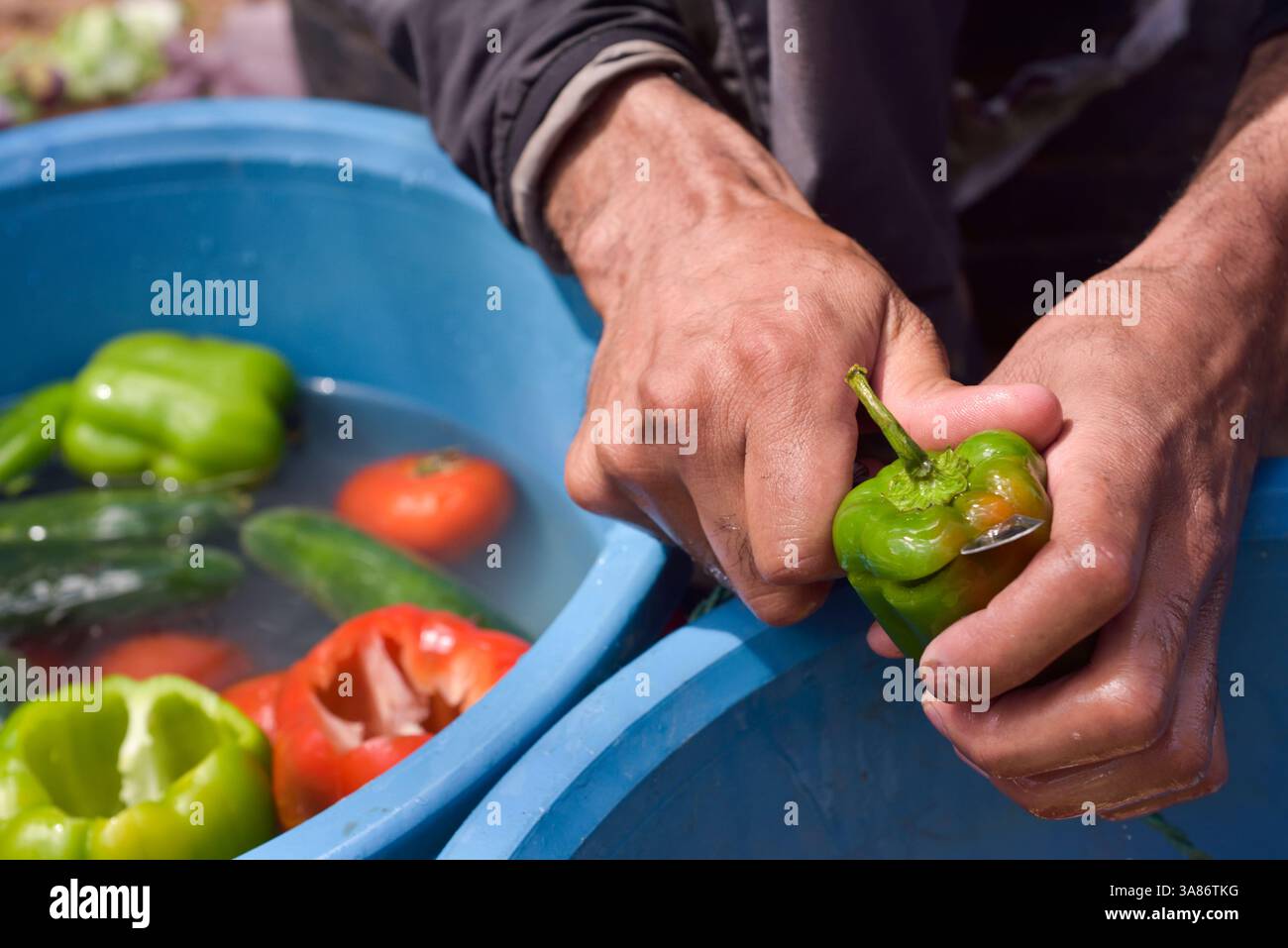 Pepe verde e rosso, preparazione del pranzo per un gruppo di escursionisti in bicicletta vicino a Ouarzazate, provincia di Ouarzazate, regione Draa-Tafilalet, Marocco Foto Stock