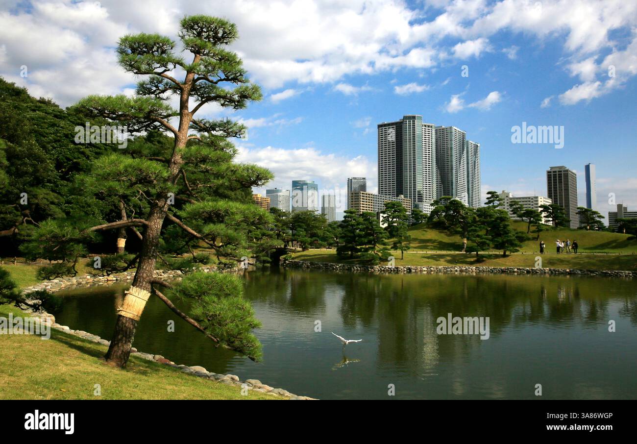 Centro di Tokyo, Honshu, Giappone Foto Stock