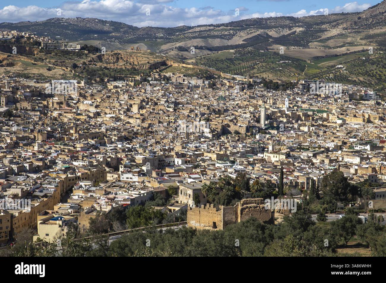 Vista della città di FES, Marocco Foto Stock