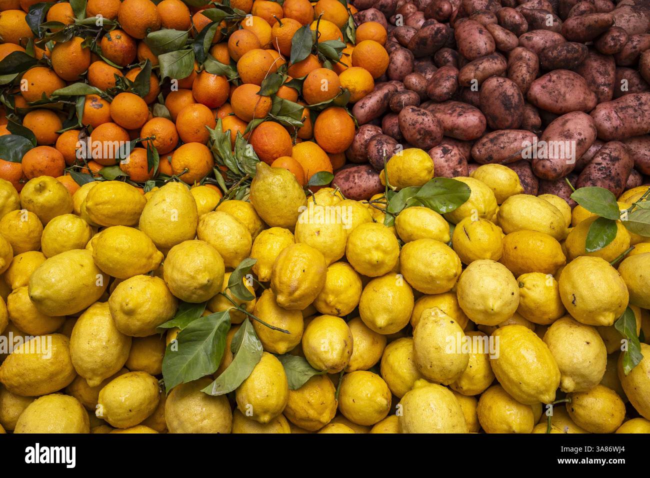 Limoni, mandarini e patate in negozio di frutta e verdura, sale, Marocco Foto Stock