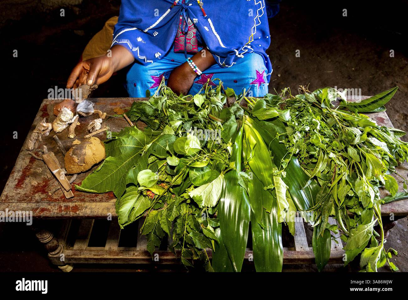 Guaritore con erbe medicinali nel villaggio di Ngiresi, Tanzania Foto Stock