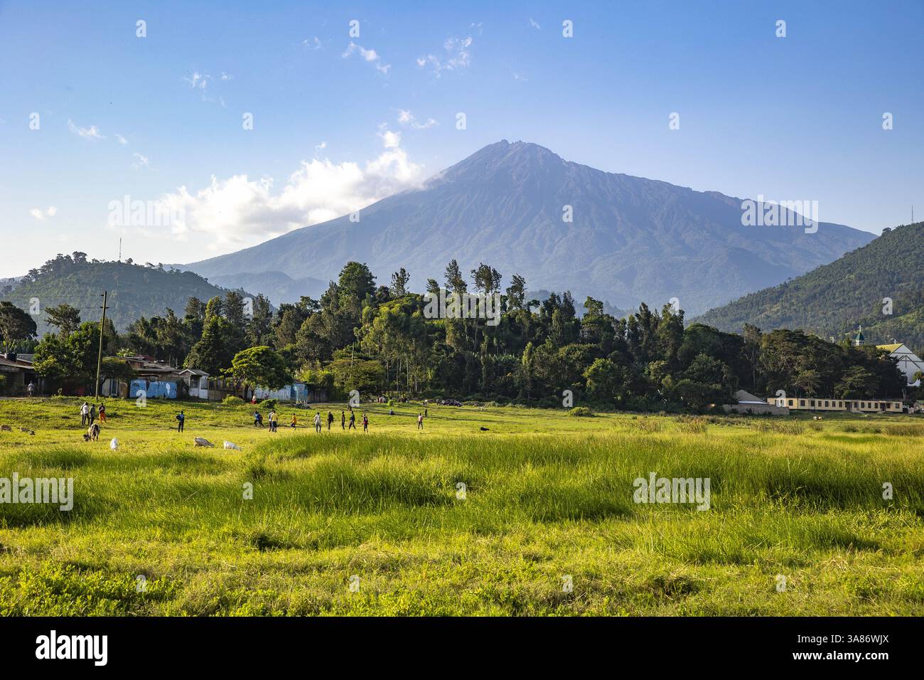 Campo comune ai piedi del Monte Meru ad Arusha, Tanzania Foto Stock